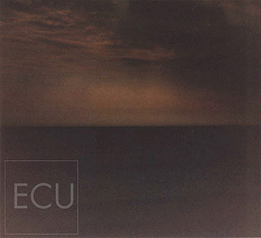 Color photograph taken at night along the Southampton beach in New York of the Atlantic Ocean with a full moon in an impressionistic style