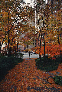Color photo of magnificent landscape of South Cove in autumn in Battery Park City with the original World Trade Center